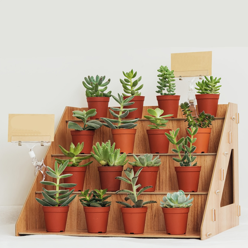 Holz-Displayständer, Stand für – Pop Display Shelf Bewertung und Preis
